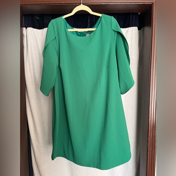 Green Flutter Sleeve Dress - Picture 1 of 5